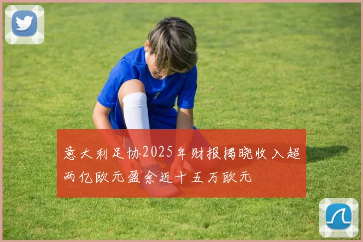 意大利足协2025年财报揭晓收入超两亿欧元盈余近十五万欧元